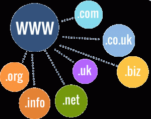 Domain Register Service